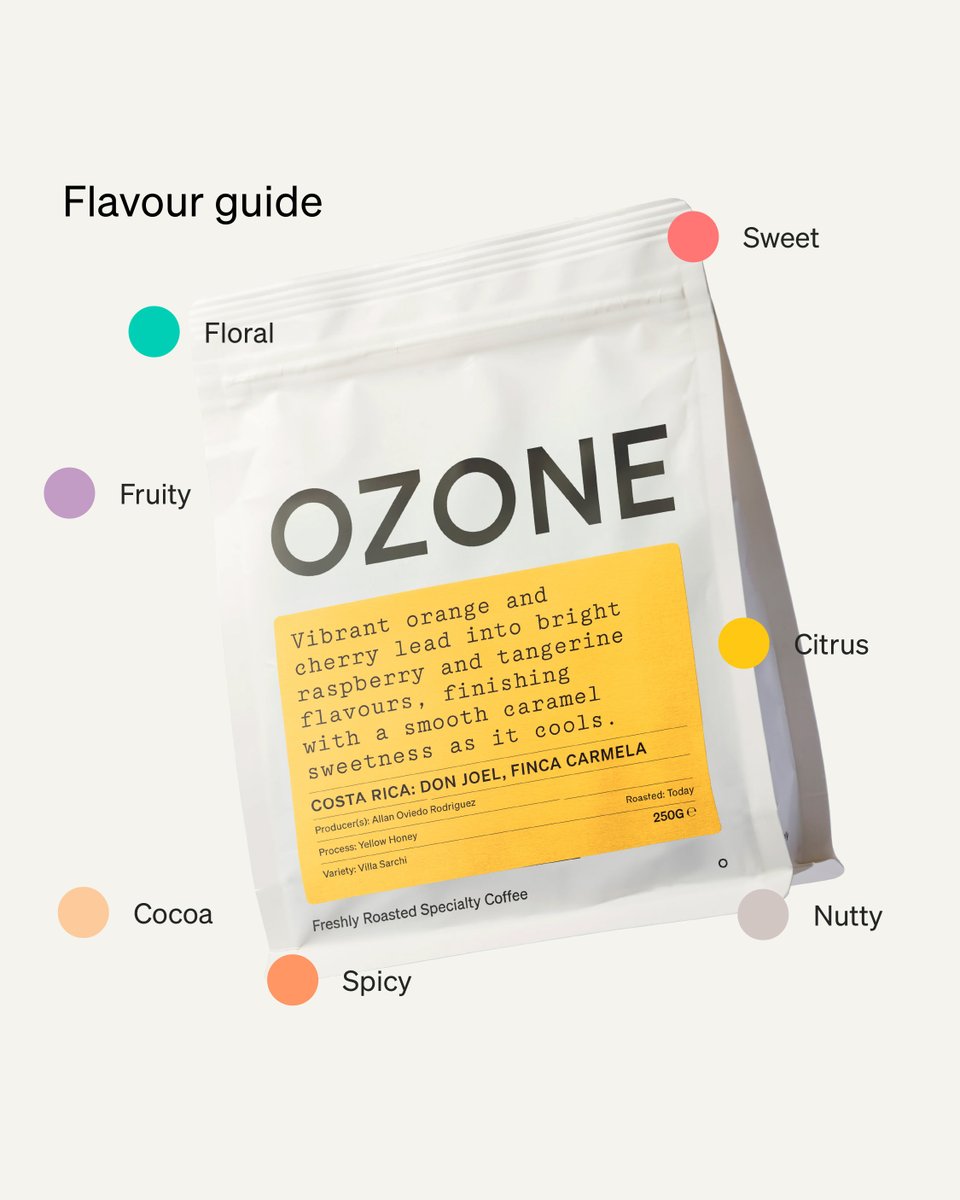 Not sure which coffee suits your taste?
Start with our Flavour Quiz!

We’ve created a quick, fun way to match you with the perfect brew based on what you like. It’s all about making your coffee experience easier — and tastier.

Try it today and discover your new faves.