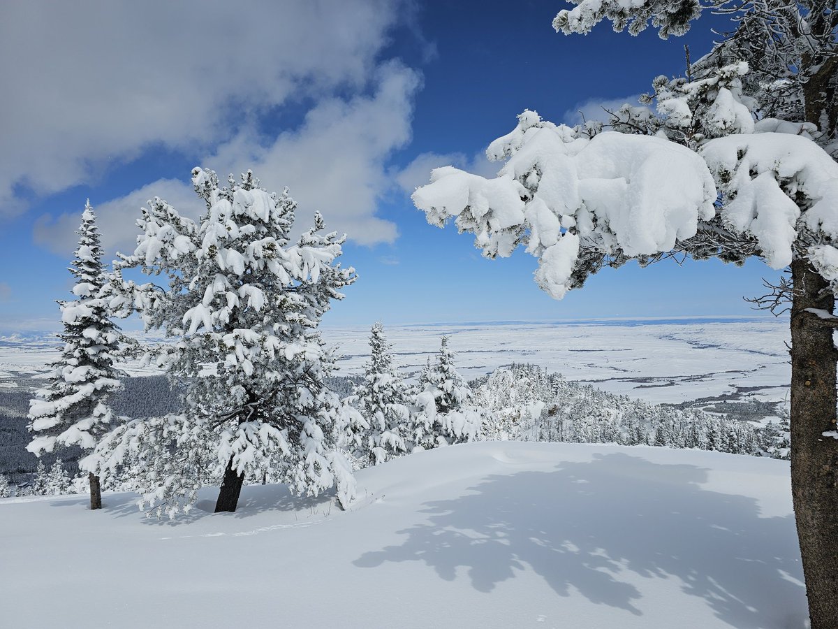 Pretty day out there. #mtwx