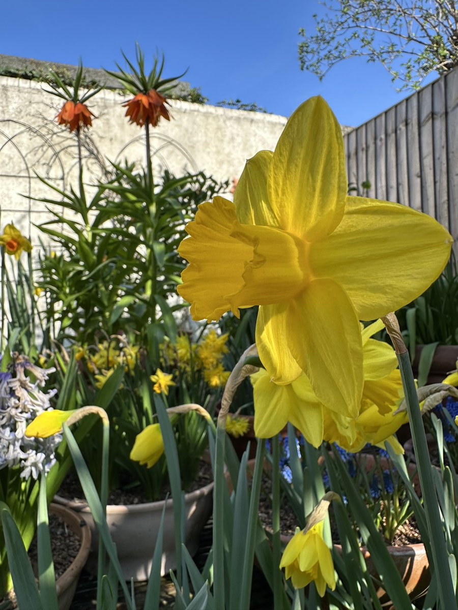 Kulbinder Mann tweet media