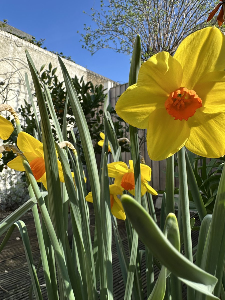 Kulbinder Mann tweet media