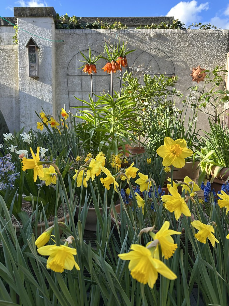 Kulbinder Mann tweet media