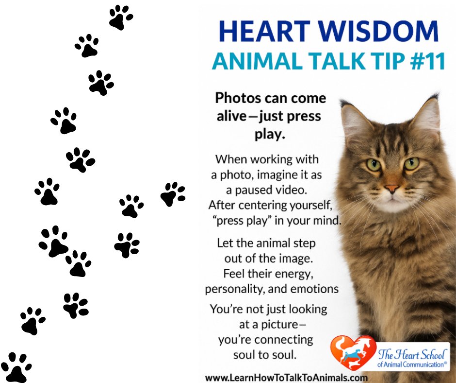 Val_Heart's tweet image. 