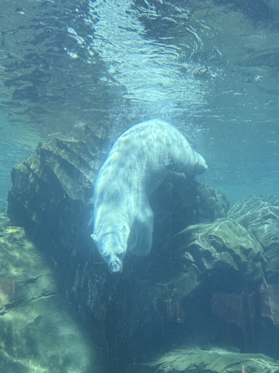 Tyson Blätter tweet media