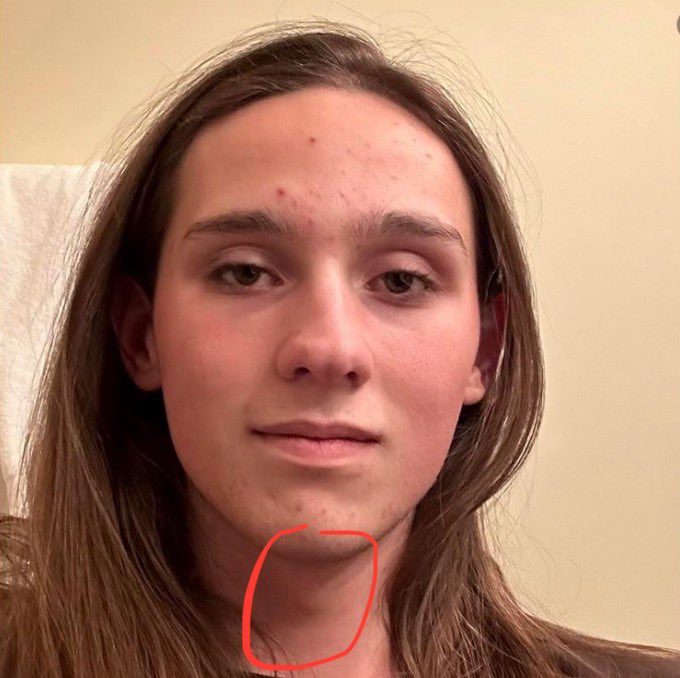 Nick Sortor tweet media