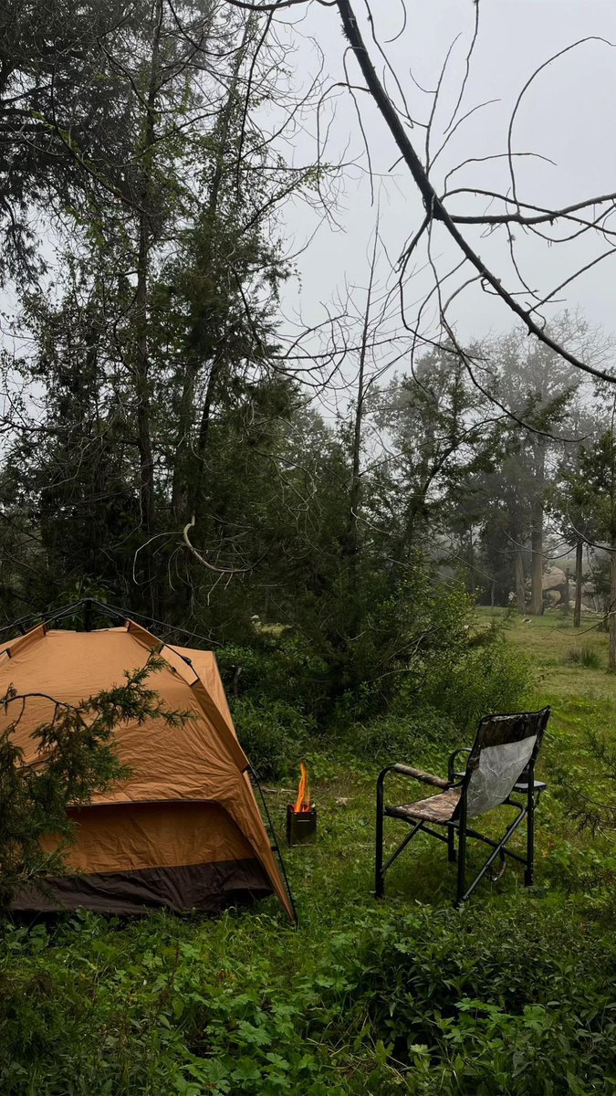 غابة رغـدان - الباحة 🇸🇦