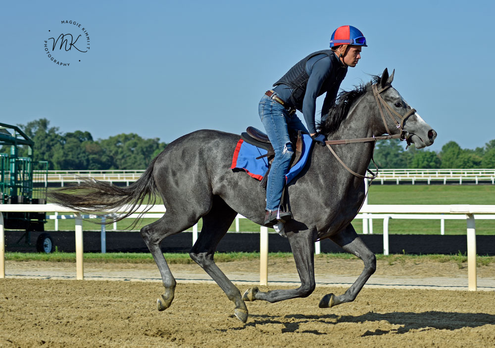 HIDDEN PRESENCE goes back-to-back:

herringswellstables.com/hidden-presenc…

#PoweredbyTLore
#HorseBitscuits