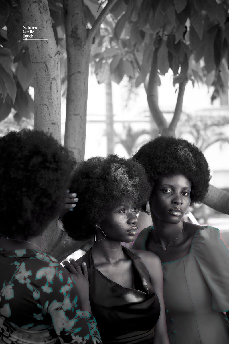 NGTGentleTouch's tweet photo. This Afro isn’t just hair,it’s history, pride, and power

#NaturesGentleTouch #naturalhair #naturalhairstyles #natural #nature #naturephotography #それスノ #النصر_القادسية #Superman #JISOOxDiorDesignerOfDreams #ค่าไฟแพง #BOYNEXTDOOR #보이넥스트도어 https://t.co/kkg9uE5wx8