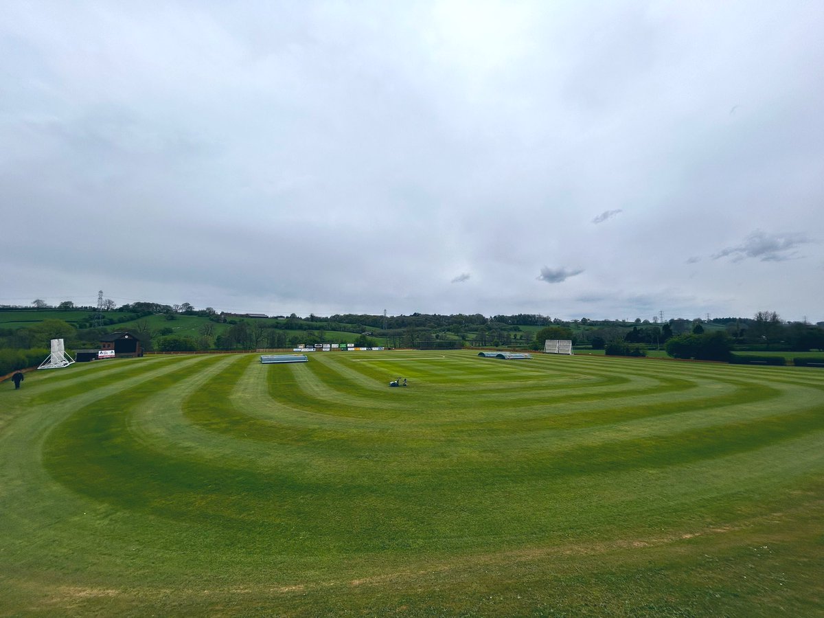 mikey allen tweet media