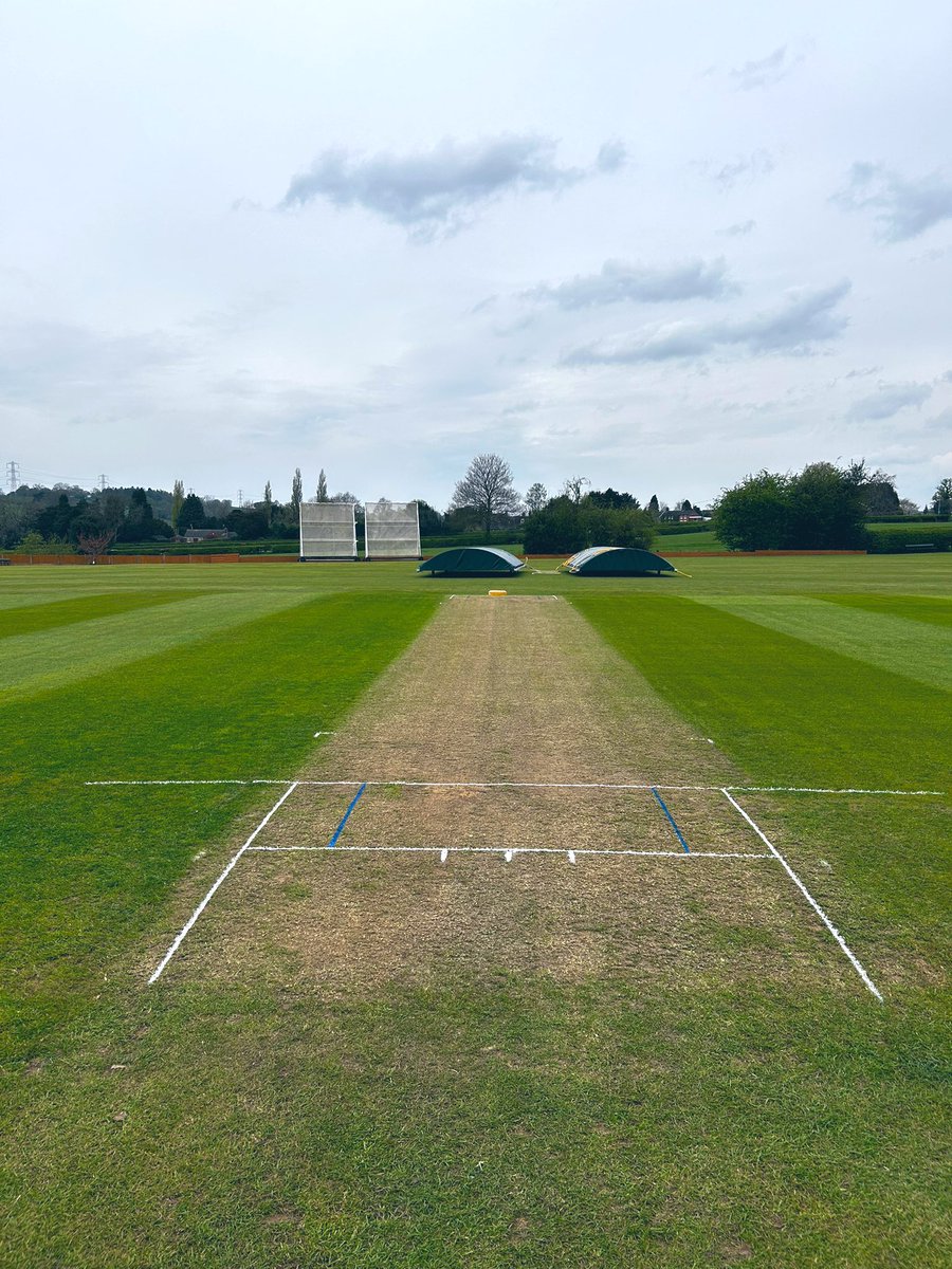 mikey allen tweet media