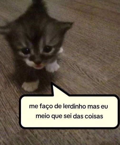 soudesabafosofc's tweet image. 