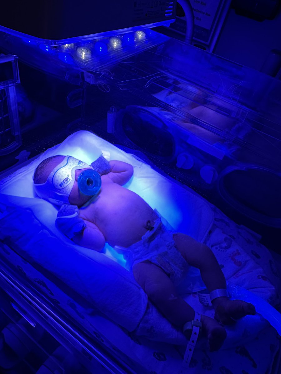 juxtin4fitness's tweet image. Day 1
Getting little man preloaded with Python & Rust programming language writing skills