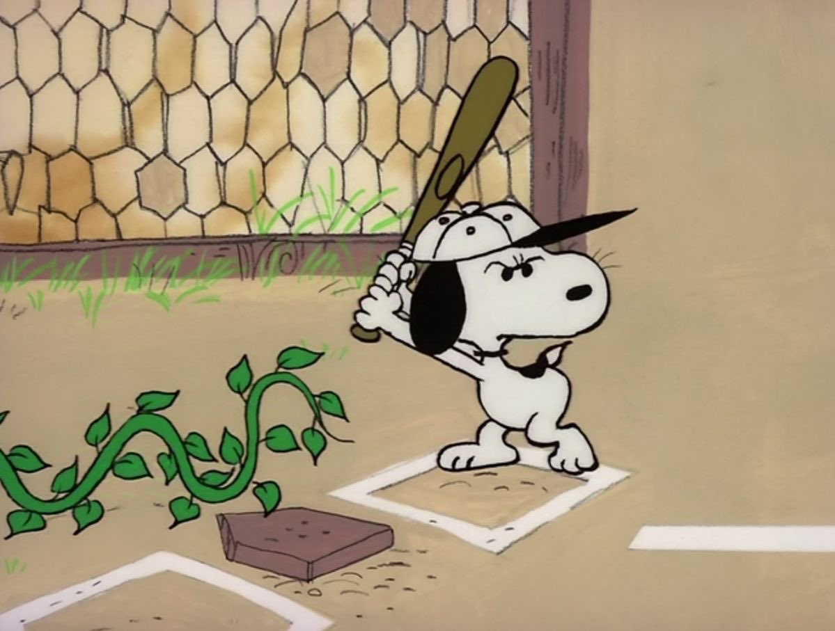 DailySnoopys's tweet photo. he's a pup of many talents https://t.co/lWR4XGEBl6