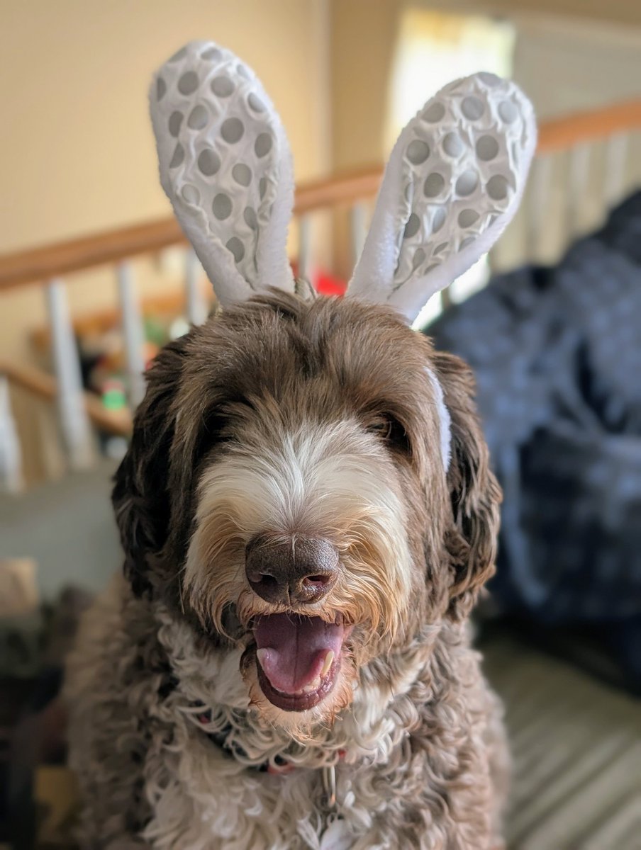 Happy Hop Hop weekend frens....