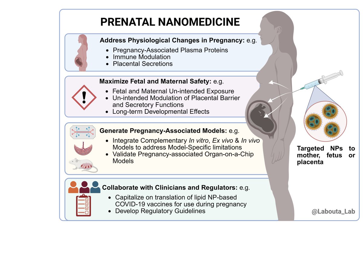 🚨 Thrilled to share my latest editorial, where I define Prenatal Nanomedicine for the first time and outline a strategic roadmap to guide future research and translation in this emerging field - summerized in the attached Figure.

Read it for free here: tandfonline.com/eprint/S5EQEYD…