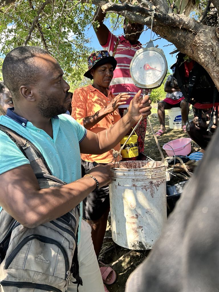 SAESDLab's tweet photo. Almost ten years ago, my International Development and Social Enterprise class partnered with Bibine Olibry to start a fish farm in Lake Peligre in the Plateau Central of Haiti. Only 38% of all social enterprises survive after one year, thanks to the people, this one survives. https://t.co/XiL5oUXJOu