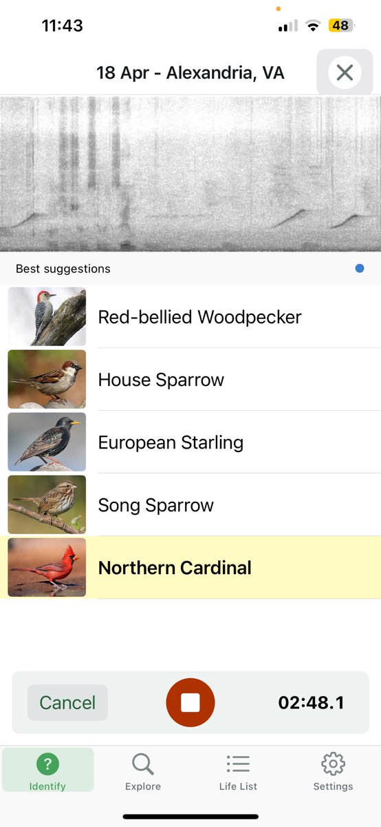 William “Bee” Stribling tweet media