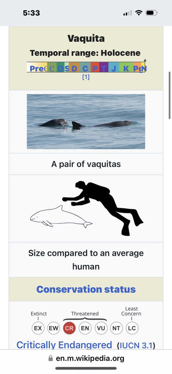 speilsese32327's tweet image. Sorry to hear about Poilievre, conservative voters, Trump &amp;amp; voters carving up Hawaii for the #OP 

SAVE THE #vaquitas