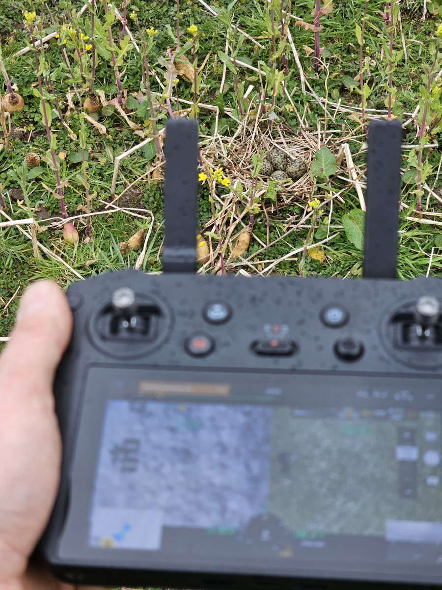 RogerDowald1's tweet photo. #workingforwaders the modern way - no visible markers to guide corvids or contractors with six lapwing’s nests located by thermal drone &amp; geo-tagged in minutes with disturbance minimised commensurately to guide cultivations for next crop. https://t.co/mEHL9PDp3h