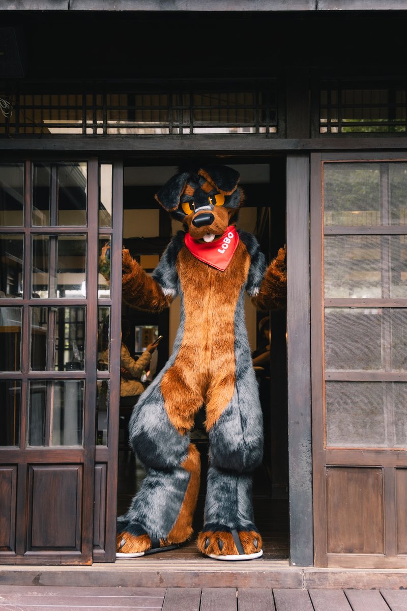 Hi🐕🐾

📷<a href="/republicoframen/">QiuQiu</a>