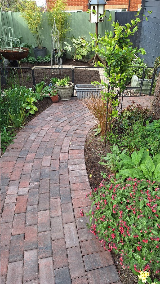 sianrobinson101's tweet image. Re used slabs for the new secret garden,  not perfect  #level #Straight &amp;amp; I did it all by myself. 
🙃🥰