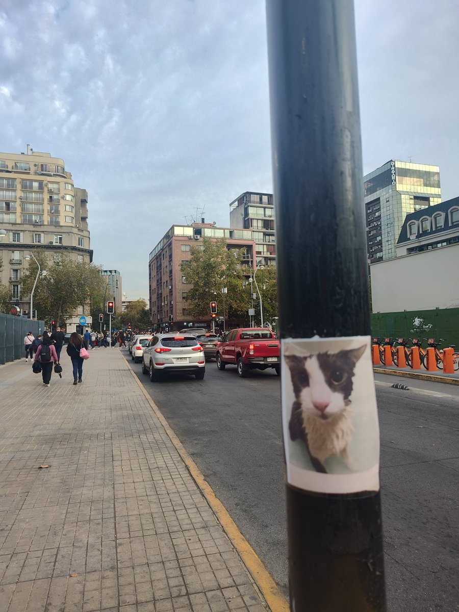 SogPropaganda's tweet photo. Thanks to @pepinodev the sog is back in Chile !
 
Santiago [Chile]
-33.433105, -70.615139
-33.416952, -70.604751
-33.413441, -70.618046
-33.420248, -70.608397 https://t.co/dOnn7gaRmW