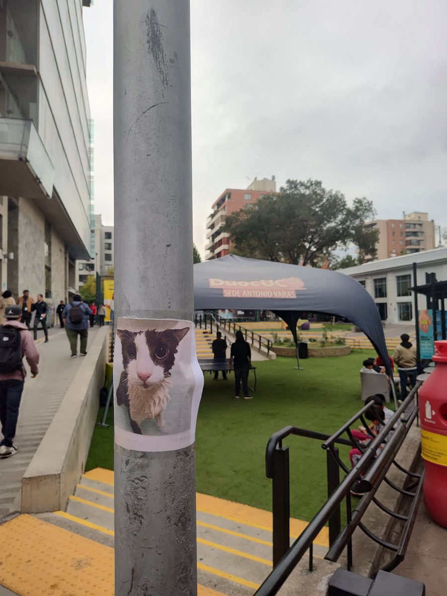 SogPropaganda's tweet photo. Thanks to @pepinodev the sog is back in Chile !
 
Santiago [Chile]
-33.433105, -70.615139
-33.416952, -70.604751
-33.413441, -70.618046
-33.420248, -70.608397 https://t.co/dOnn7gaRmW
