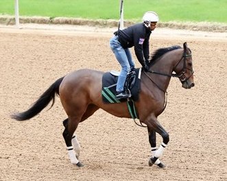 sdhorserace (@sdhorserace) on Twitter photo Quietside worked 5-furlongs in a bullet :59 at <a href="/keeneland/">Keeneland</a> Friday for trainer <a href="/johnnyortiz24/">ORTIZ RACING STABLES</a>. 1/15. It's the daughter of Malibu Moon's first work since her win in the G2 Fantasy at <a href="/OaklawnRacing/">Oaklawn Hot Springs</a> (3-29)
📸 <a href="/coadymediaUSA/">Coady Media</a> Quietside worked 5-furlongs in a bullet :59 at <a href="/keeneland/">Keeneland</a> Friday for trainer <a href="/johnnyortiz24/">ORTIZ RACING STABLES</a>. 1/15. It's the daughter of Malibu Moon's first work since her win in the G2 Fantasy at <a href="/OaklawnRacing/">Oaklawn Hot Springs</a> (3-29)
📸 <a href="/coadymediaUSA/">Coady Media</a>