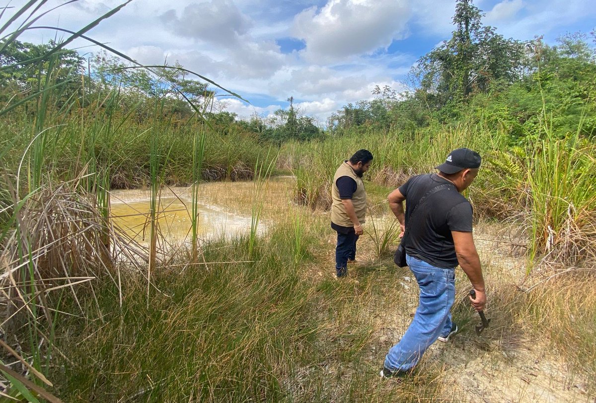 Fiscalía General del Estado de Quintana Roo tweet media