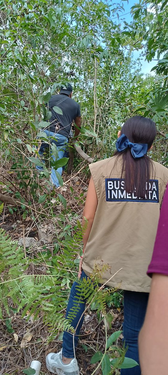 Fiscalía General del Estado de Quintana Roo tweet media