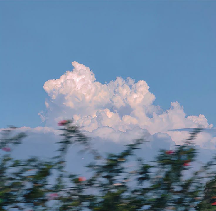 blue dream (@bluedreamvibes) on Twitter photo 