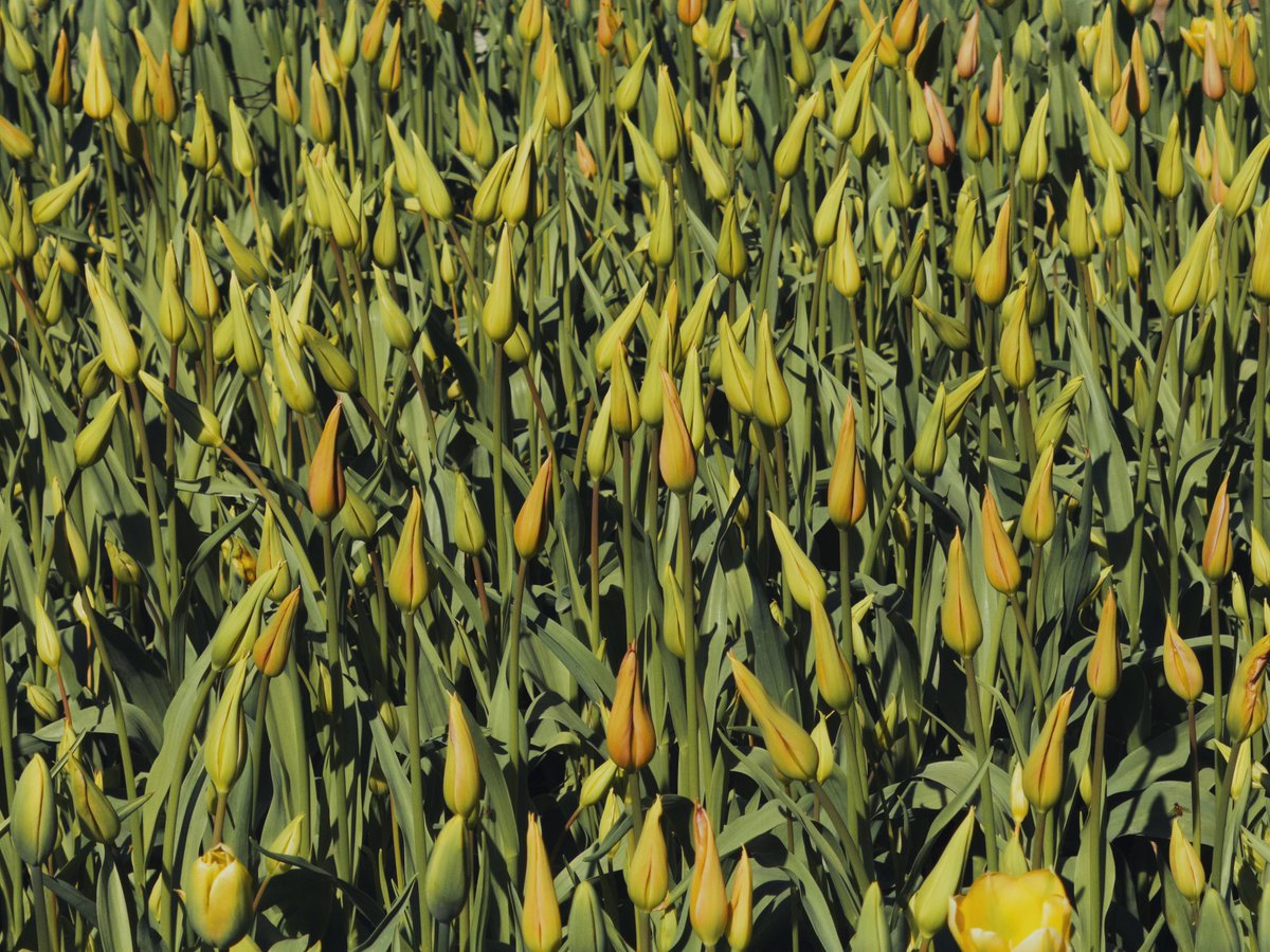 Andy Allen tweet media