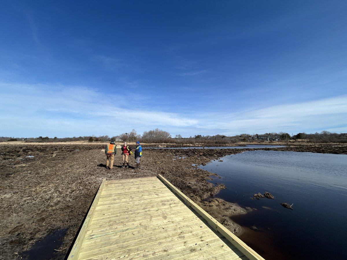 MassEcoRestore's tweet photo. Windswept Bog construction has wrapped up! This month, construction was completed on the Windswept Bog Restoration on Nantucket. While it may look muddy now, this process restored 40 acres of former cranberry bogs into flourishing, connected wetlands. 🚧➡️🌾 #DERPriorityProject https://t.co/3hbUgmxf5D
