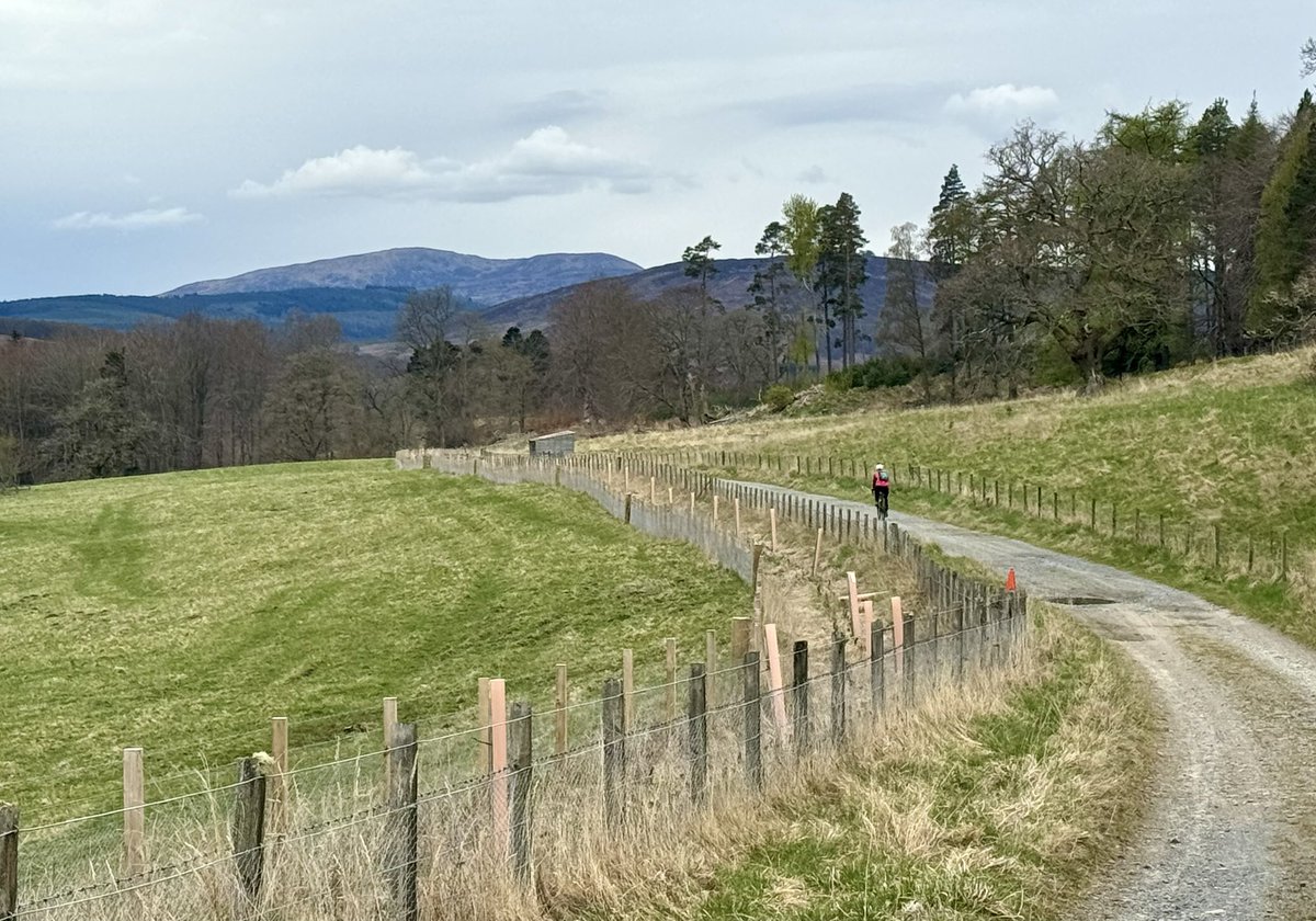 3 weeks ago our wee dog was diagnosed with cancer. It was a shock. He’s fine at present but the vet recommended no hill walking. It’s taken time to adjust but this week we’ve got some cycling in after an easy morning walk. Four from today’s ride out to Glen Tilt 🚴‍♂️🚴‍♀️🏴󠁧󠁢󠁳󠁣󠁴󠁿