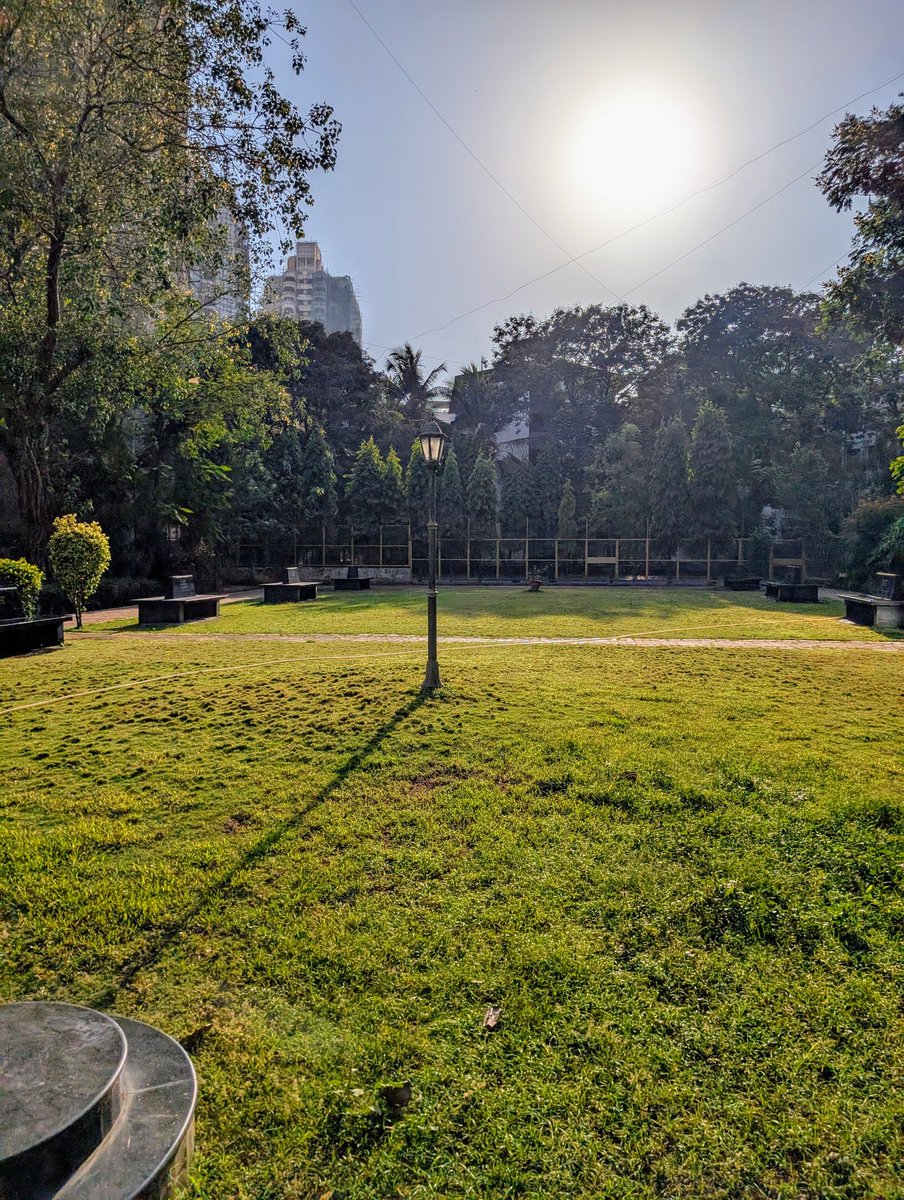 went out and touched grass