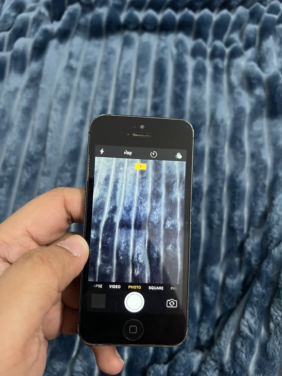 ____cara tweet media