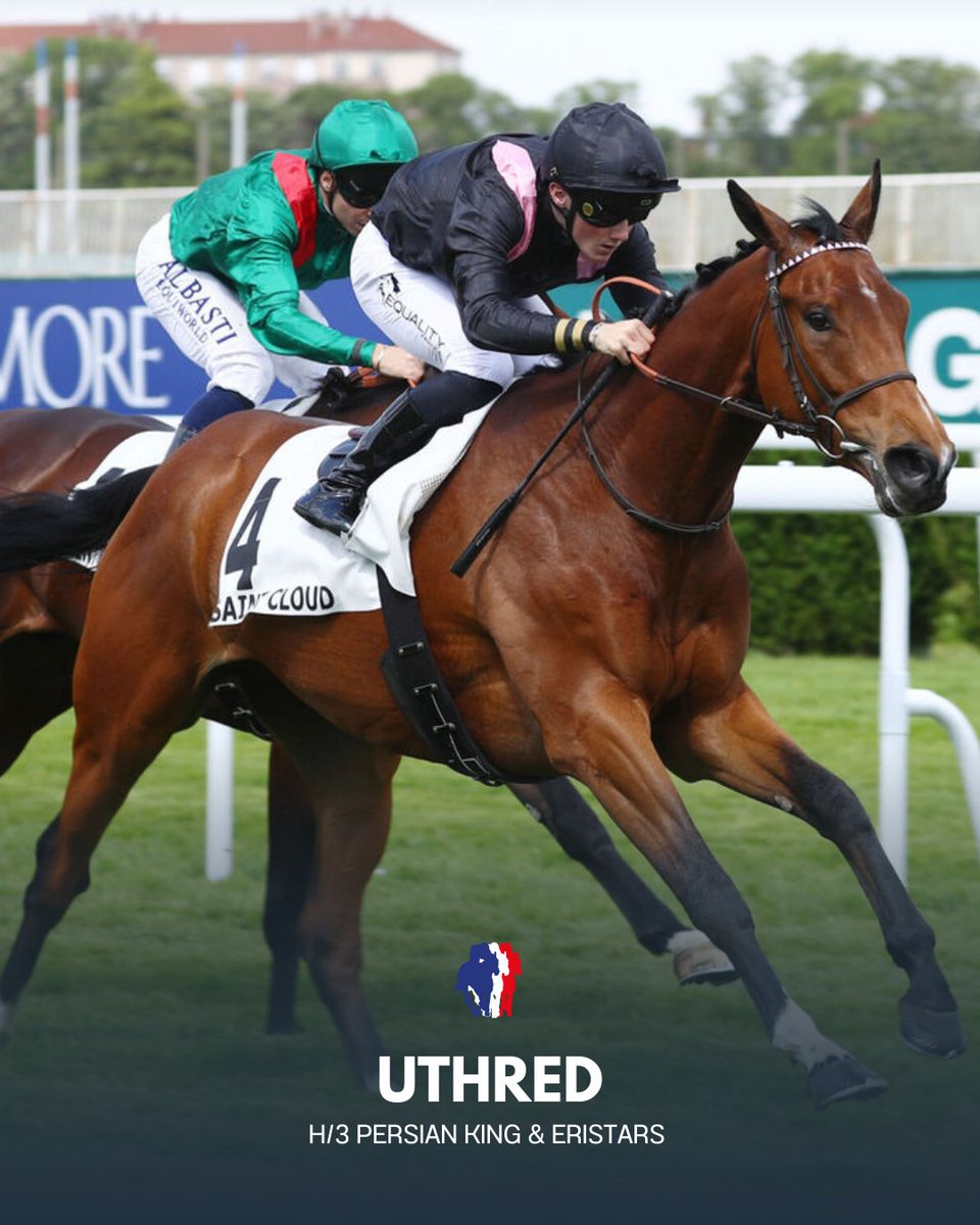 Jour de Galop (@jour_de_galop) on Twitter photo PRIX PAS DE DEUX (inédits), SAINT-CLOUD
Uthred (Persian King <a href="/Haras_d_Etreham/">Haras d'Etreham</a>), un représentant de <a href="/EcurieGriezmann/">Écurie Griezmann</a> entraîné par <a href="/PDecouz/">Philippe Decouz</a>, s’impose avec autorité pour le célèbre footballeur ! ⚽️
<a href="/normandiebreed1/">NormandieBreeding</a>
<a href="/AugustinMadamet/">Augustin Madamet</a> PRIX PAS DE DEUX (inédits), SAINT-CLOUD
Uthred (Persian King <a href="/Haras_d_Etreham/">Haras d'Etreham</a>), un représentant de <a href="/EcurieGriezmann/">Écurie Griezmann</a> entraîné par <a href="/PDecouz/">Philippe Decouz</a>, s’impose avec autorité pour le célèbre footballeur ! ⚽️
<a href="/normandiebreed1/">NormandieBreeding</a>
<a href="/AugustinMadamet/">Augustin Madamet</a>