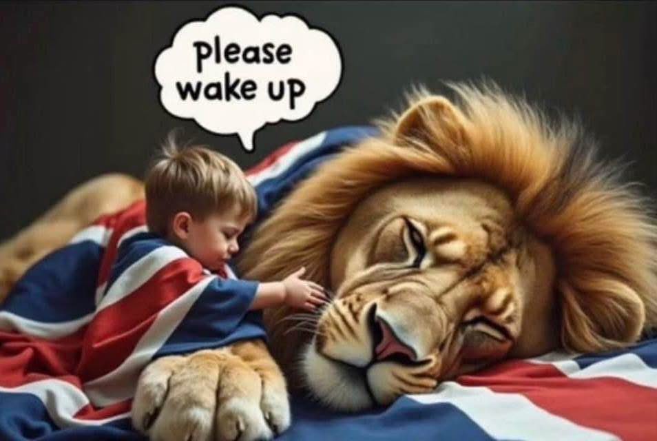 BigBearF1's tweet photo. 💂🏻♀️👋🏻🇬🇧🙏🏻 #PleaseWakeUp #MBGA https://t.co/OtAUkyUbuT