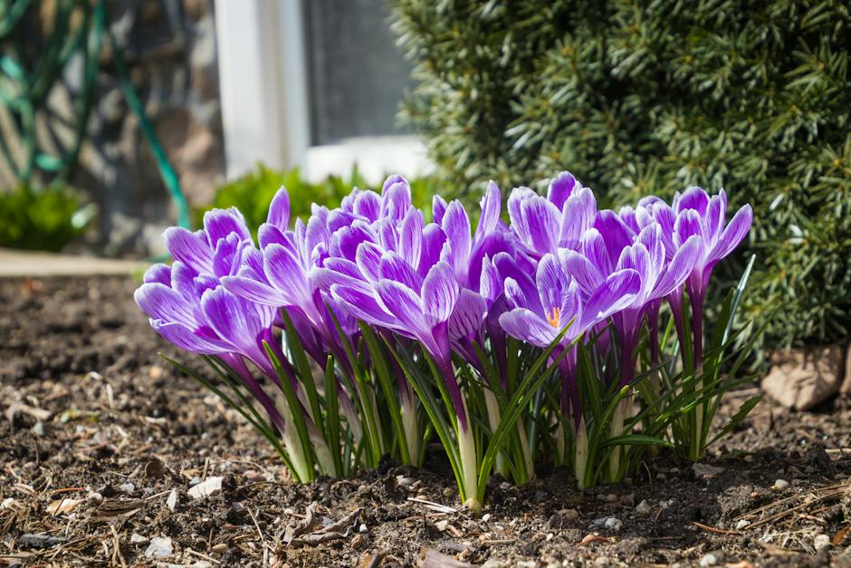Closed today Apr 18. All Surrey Libraries branches are closed today for Good Friday. Visit our online library – open 24/7. Your Surrey Libraries card gives you access: ow.ly/hnnn50Vgxz3

📌 All branches open Sat, Apr 19 &amp; all branches (except Port Kells) open Sun, Apr 20.