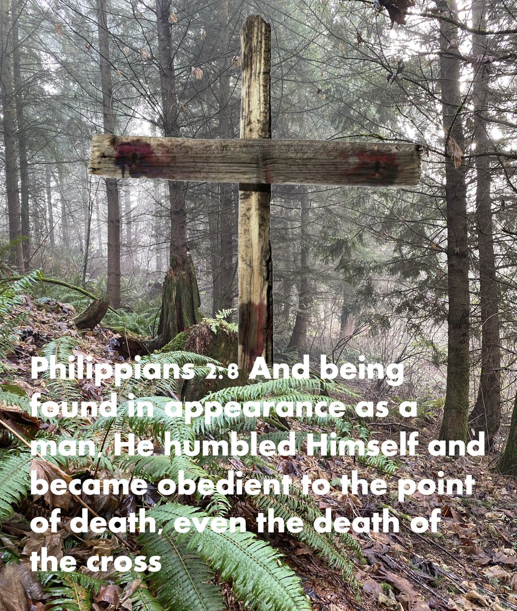 houseofbread's tweet image. Consider God's gift of love for us all! 

Hebrews 9:26 ...He has appeared to put away sin by the sacrifice of Himself. 27 And as it is appointed for men to die once, but after this the judgment, 28 so Christ was offered once to bear the sins of many.

#jesuslovesyou #jesus