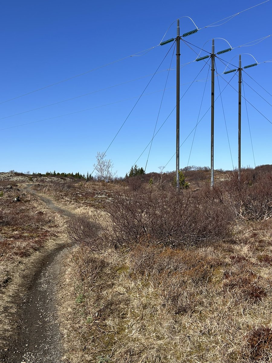 Hjólaði megnið af græna beltinu í morgun. Taldi mig, vera að upplifa kraftaverk eitt augnablik en allt crewið  hafði þegar verið beamed 🪤