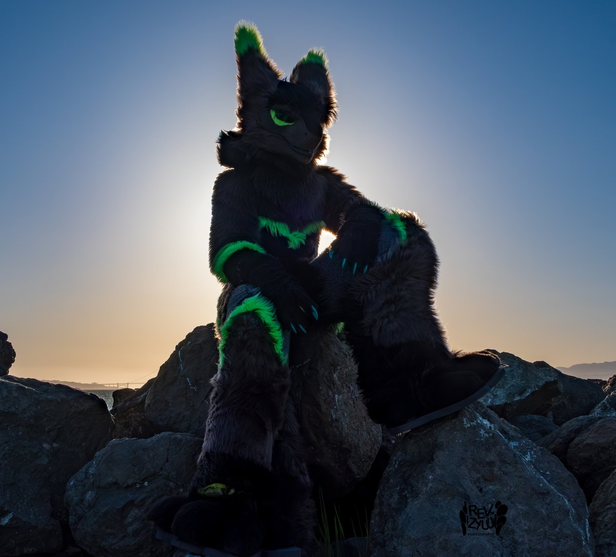 Howdy Stranger!
#Sergal #FursuitFriday #TreasureIslandPhotoshoot
📸: <a href="/Revzyuu/">Revzyuu</a>