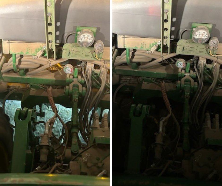 LightReign tweet media