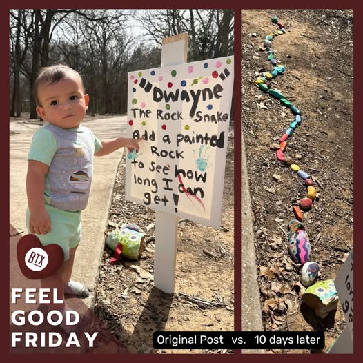 Meet Dwayne the Rock Snake at Oak Valley Park North! 🐍🎨 A local mom and her kids started this fun project to spread joy, and it's growing with help from the community.

“My boys get so excited every time we see more rocks!” Keep it going, Burleson! 💚
#FeelGoodFriday #FamilyFun