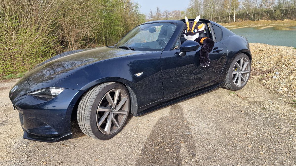 Ferro (@ferrothedragon) on Twitter photo just cruisin around a bit with the weather actually getting nicer.
๐ท <a href="/Videri_Dragon/">Videri Water-Icedragon</a>
#FursuitsFriday #furry #fursuit #CarFreitag just cruisin around a bit with the weather actually getting nicer.
๐ท <a href="/Videri_Dragon/">Videri Water-Icedragon</a>
#FursuitsFriday #furry #fursuit #CarFreitag