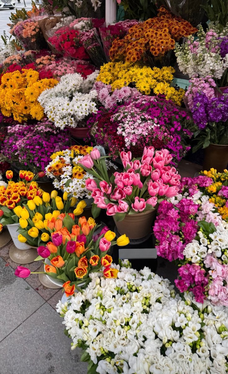 Çiçek almayı bırak yoldan görüp koparıp bir dal bişey bile verilmedi ya bana yazıklar olsun.. Şunların güzelliğine bak