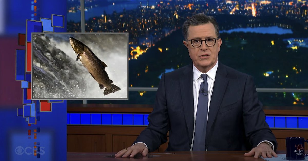 Michael Bertram (@michaelgbertram) on Twitter photo Wild to see our new pharmaceutical pollution and salmon migration paper in <a href="/ScienceMagazine/">Science Magazine</a> covered on <a href="/colbertlateshow/">The Late Show</a>!
Starts at 2:45 👉 youtube.com/watch?v=Cm4u8a…
Read the paper 👉 science.org/doi/10.1126/sc…
<a href="/JackAndrewBrand/">Jack Brand</a> <a href="/DrBrodin/">Tomas Brodin</a> <a href="/SLUwildresearch/">SLU Wild Research</a> Wild to see our new pharmaceutical pollution and salmon migration paper in <a href="/ScienceMagazine/">Science Magazine</a> covered on <a href="/colbertlateshow/">The Late Show</a>!
Starts at 2:45 👉 youtube.com/watch?v=Cm4u8a…
Read the paper 👉 science.org/doi/10.1126/sc…
<a href="/JackAndrewBrand/">Jack Brand</a> <a href="/DrBrodin/">Tomas Brodin</a> <a href="/SLUwildresearch/">SLU Wild Research</a>