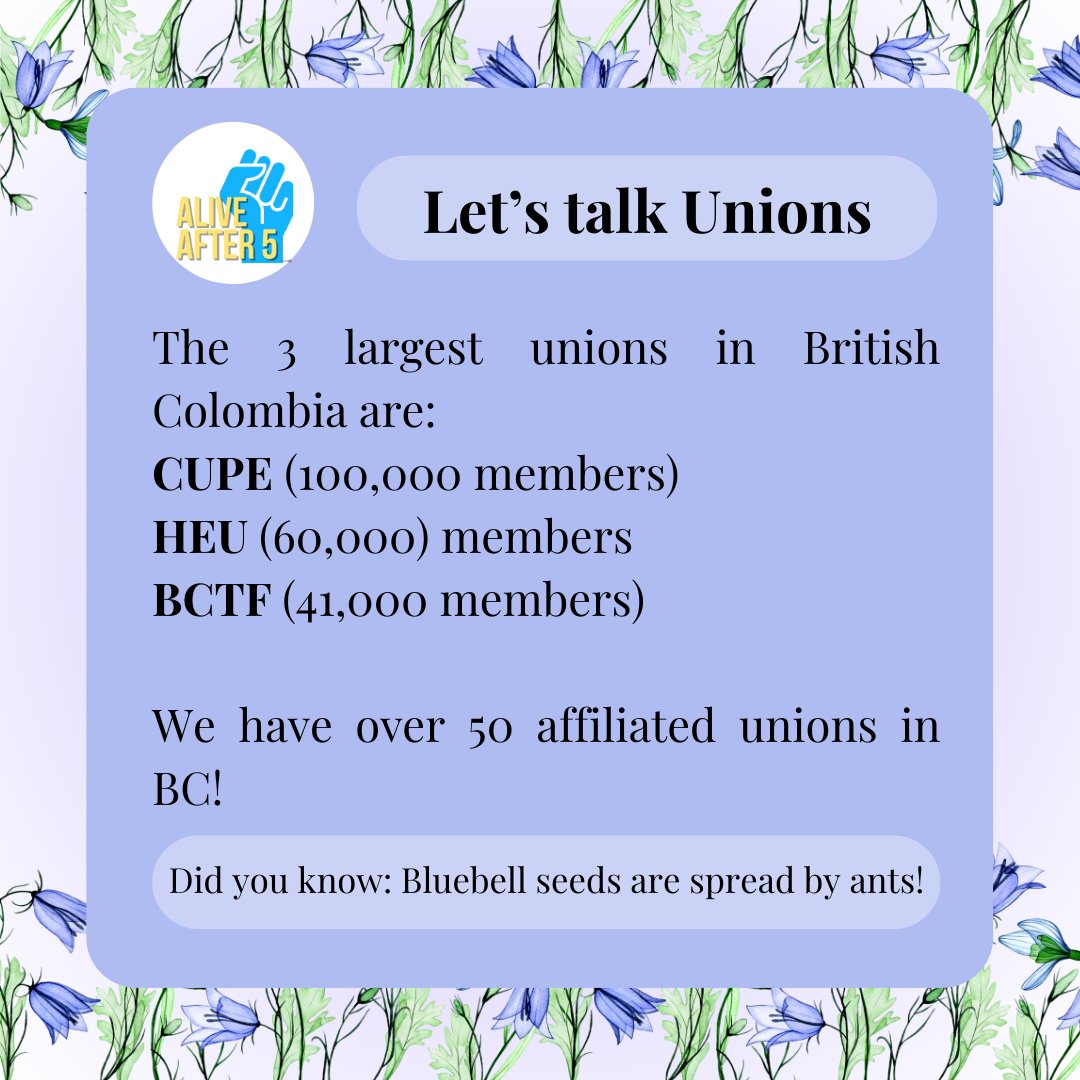 Let's Talk Unions! (2/3)

The 3 largest unions in BC are CUPE, HEU, and BCTF! These make up over 200,000 members! 

#workersrights #worksafebc #unions #union #flowers #funfacts #facts #lotus #april #alivefter5 #aa5 #ep #esb #esa #blubells #floral #aprilshowers