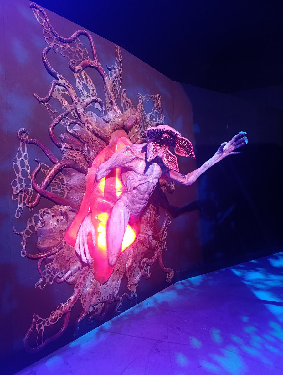 mandsives's tweet photo. um pouquinho de st experience pra vocês 💗 https://t.co/MJR83FT4O4