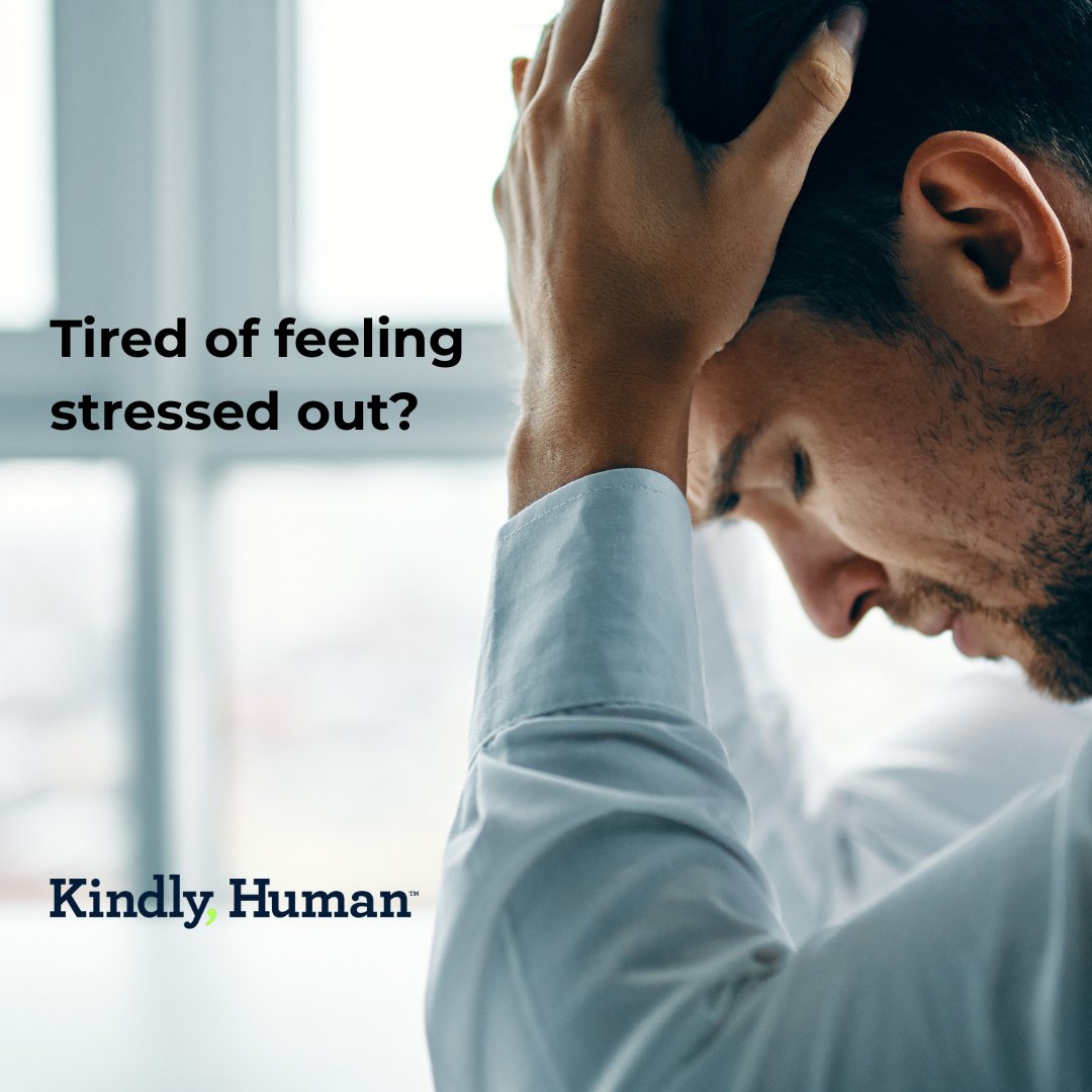 Kindly Human tweet media