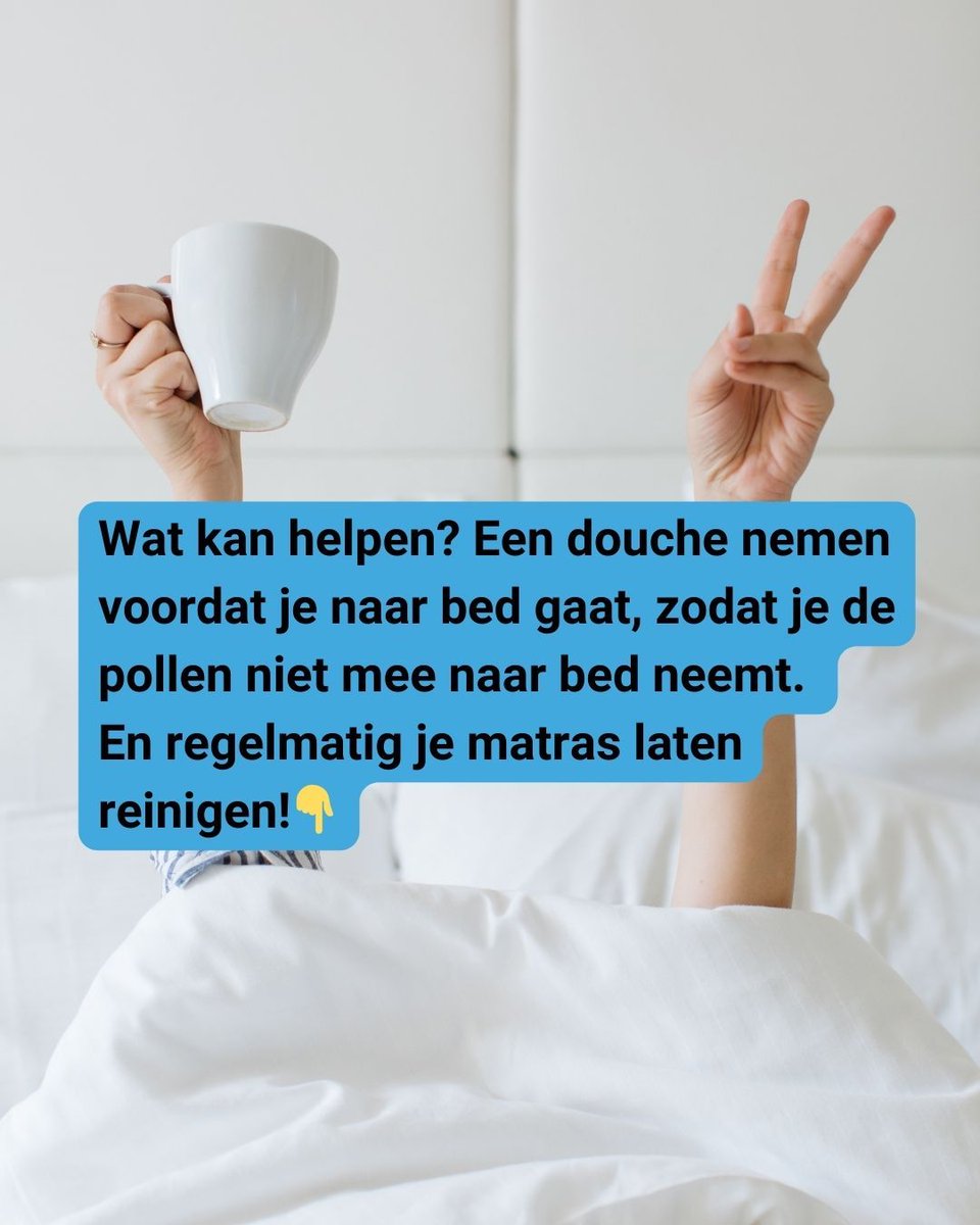 DokterBed's tweet photo. 😩 Last van hooikoorts? Op dit moment zijn het vooral pollen van de 🌳 Els, Hazelaar en Berk die voor klachten zorgen. Een wondermiddel is er (nog) niet, maar het kan helpen een zonnebril te dragen, te douchen voordat je naar bed gaat, medicatie te nemen en je matras te reinigen! https://t.co/fjSakstu1E